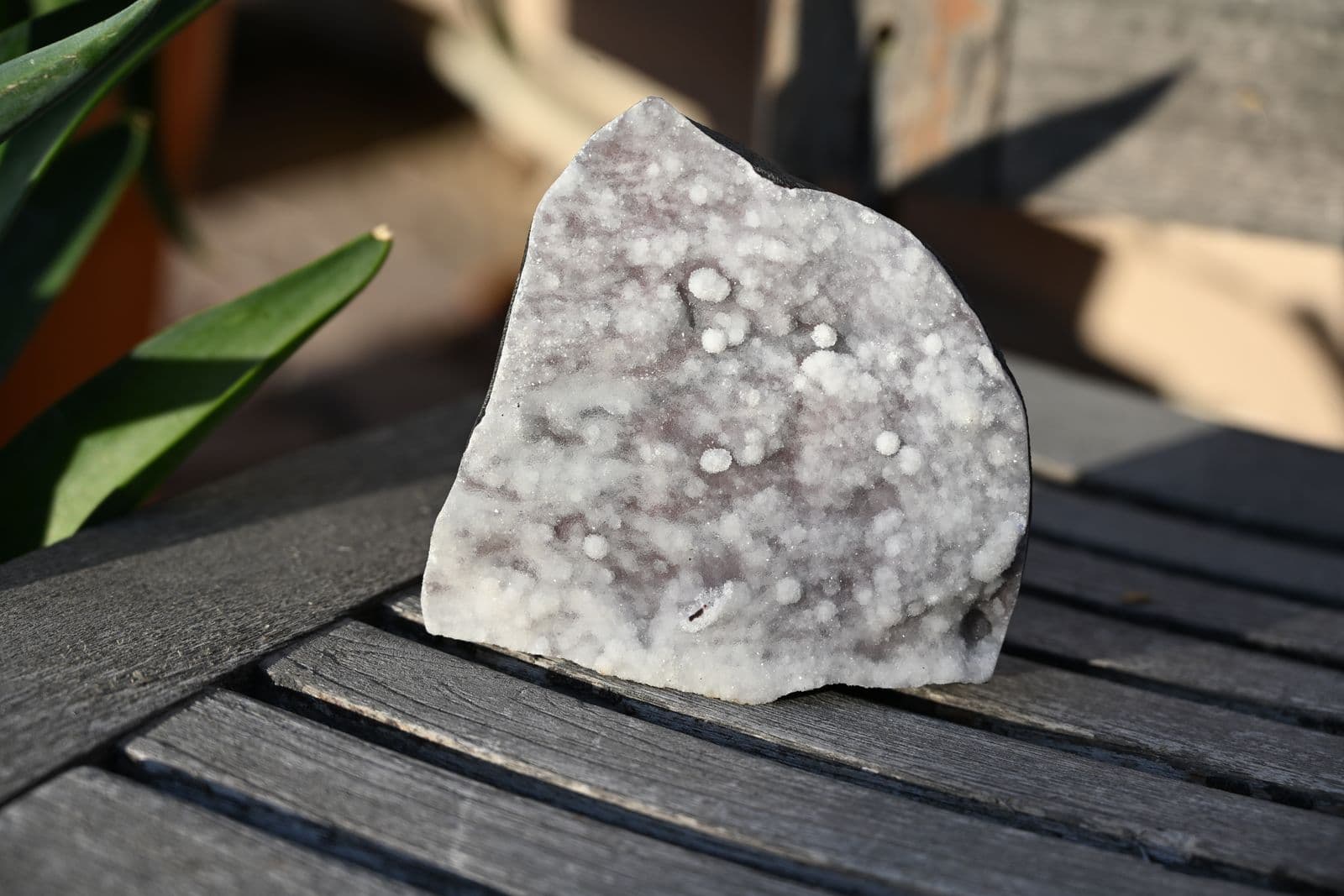 Botryoidal Chalcedony Slab on Basalt — view 2